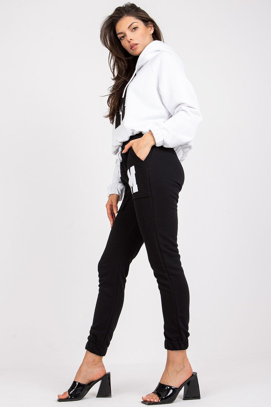  L`ensemble model 172741 Relevance 